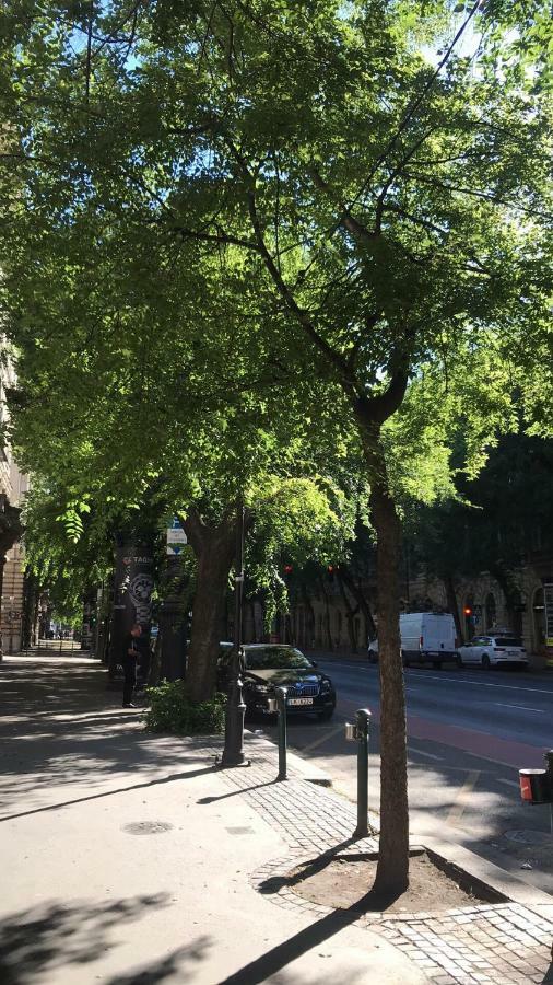 Diamond Apartman Near To Basilica Budapešť Exteriér fotografie